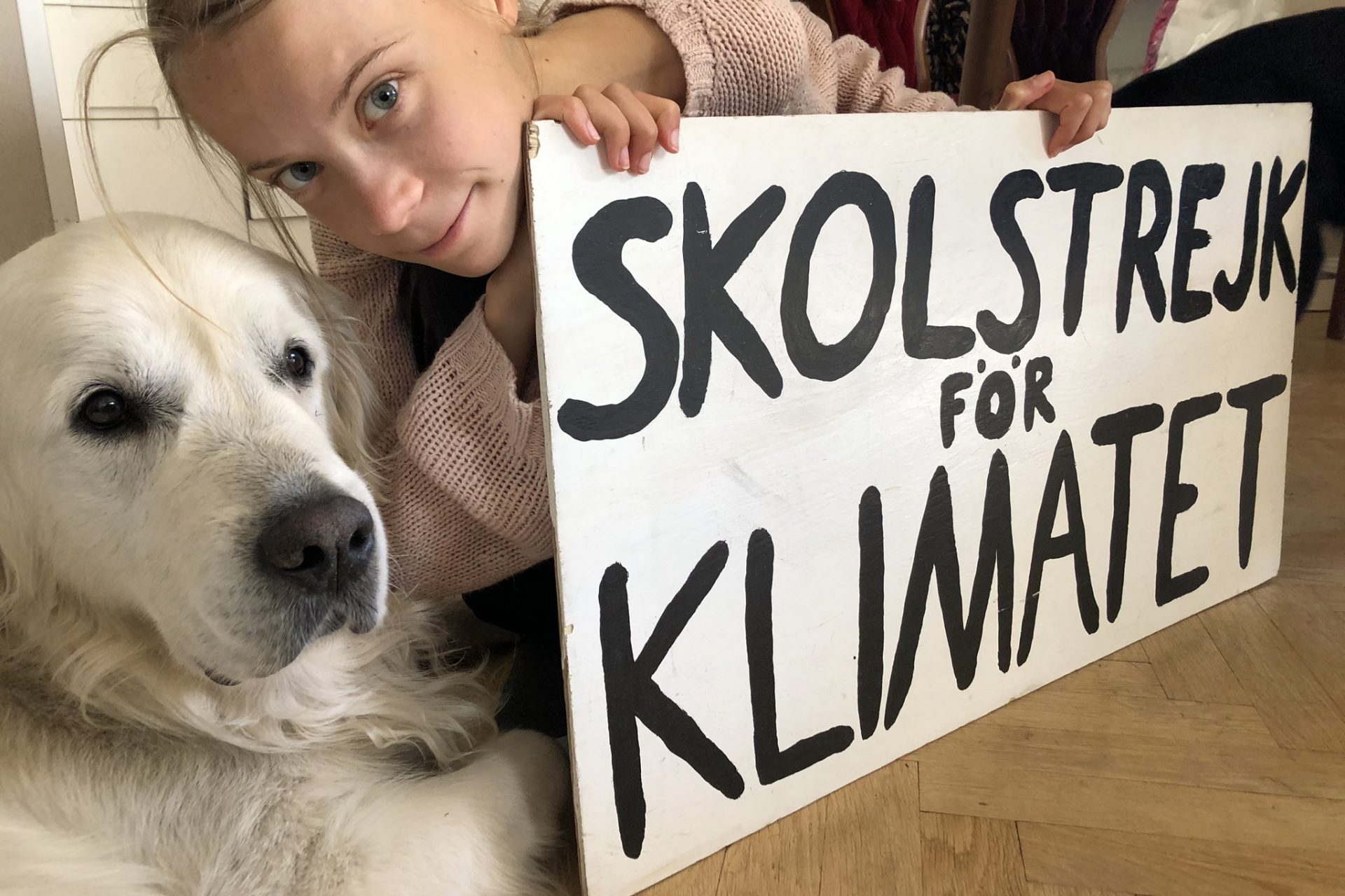 Грета Тунберг с плакатом «Школьная забастовка за климат»