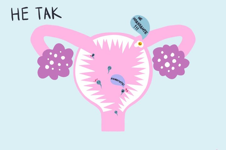 9 мифов про комбинированные оральные контрацептивы - Горящая изба
