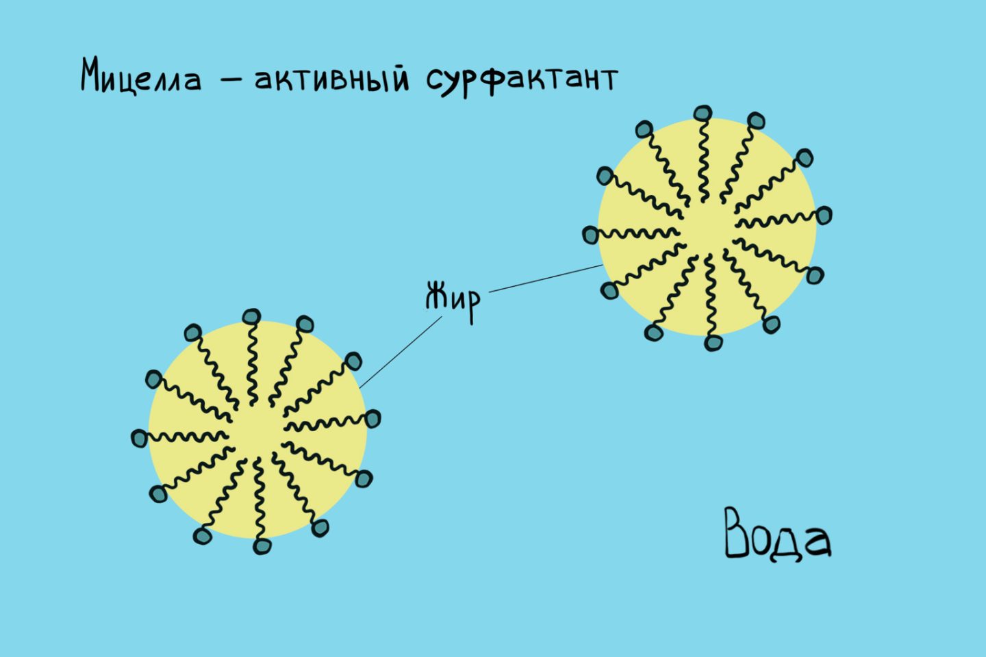 Менделеевская вода что это значит. Смотреть фото Менделеевская вода что это значит. Смотреть картинку Менделеевская вода что это значит. Картинка про Менделеевская вода что это значит. Фото Менделеевская вода что это значит