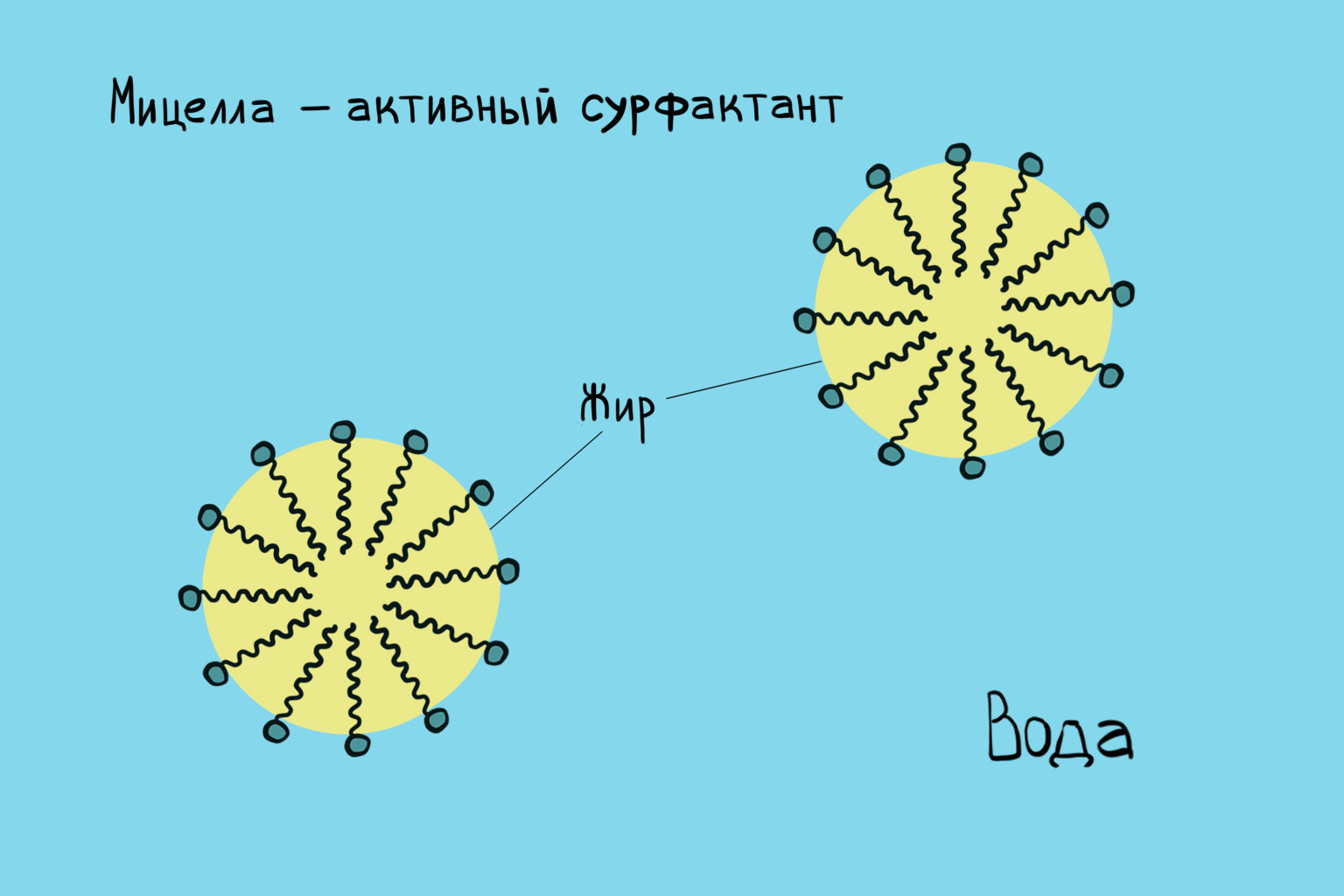 Как пользоваться мицеллярной водой и зачем она - Горящая изба