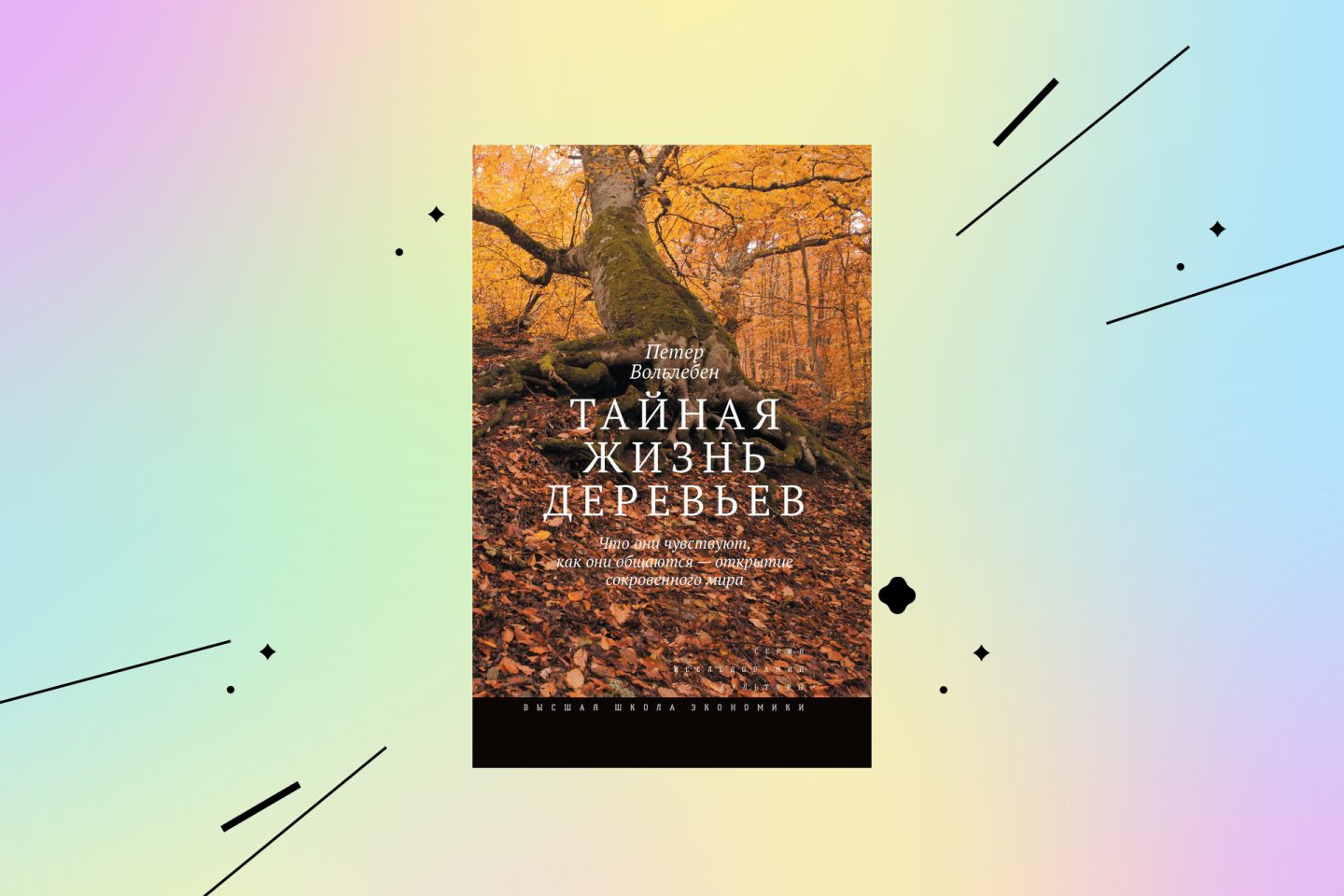 книги для расширения кругозора: «Тайная жизнь деревьев. Что они чувствуют, как они общаются – открытие сокровенного мира»
