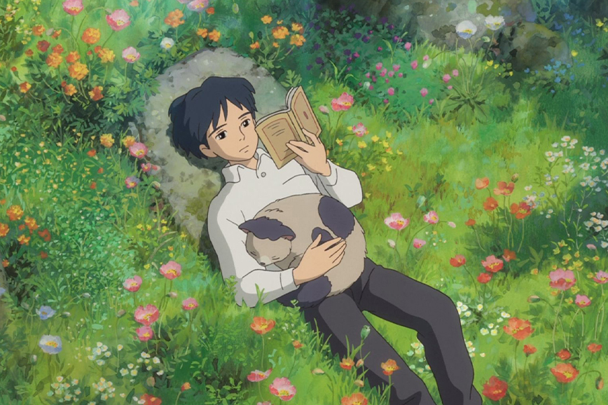 какое аниме посмотреть: 7 мультфильмов студии Ghibli