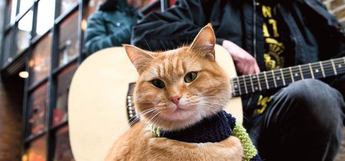 фильмы про котов