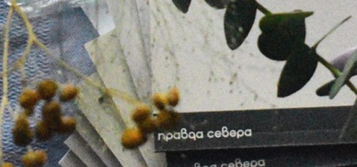 тетради правда севера