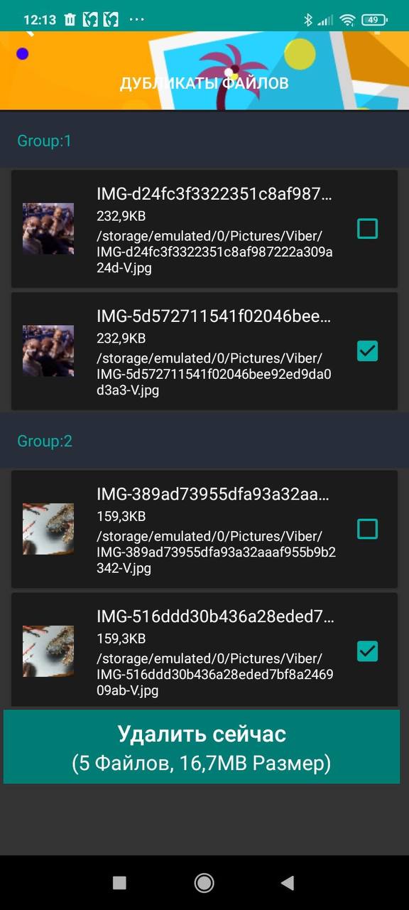 Duplicate Files Fixer