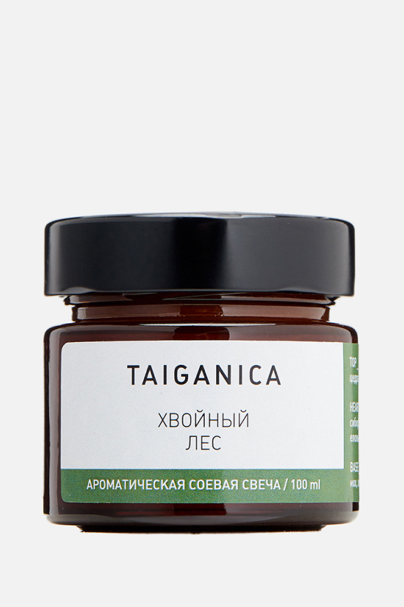 Ароматическая свеча «Хвойный лес» TAIGANICA