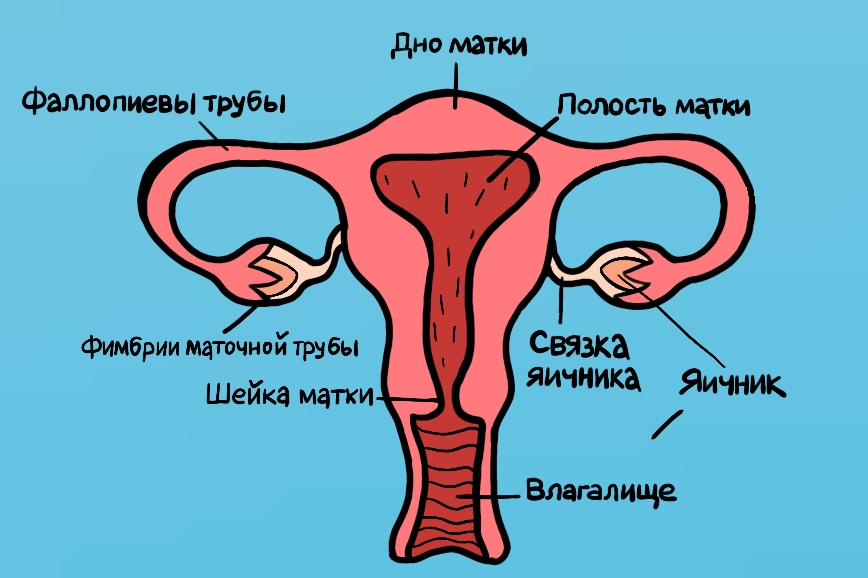 Склероатрофический лишай вульвы и промежности у женщин (СЛ)
