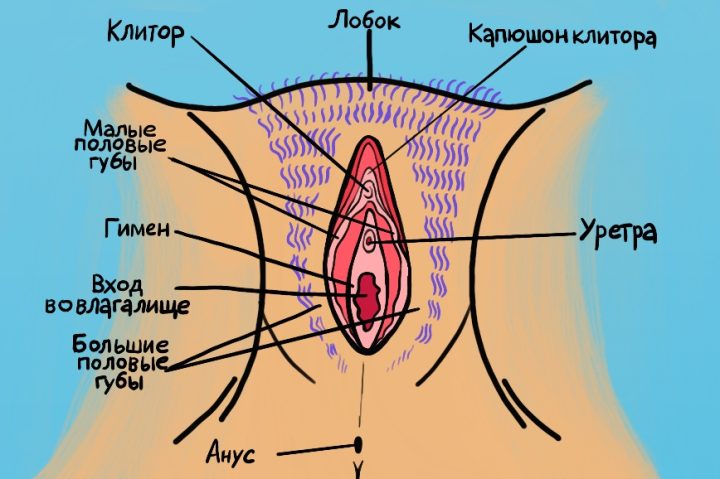 Летающая вагина и вдувание пениса ❘ фото