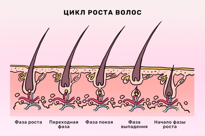 От полотенца до стрижки. Как ускорить рост волос, чтобы они стали длинными и гладкими