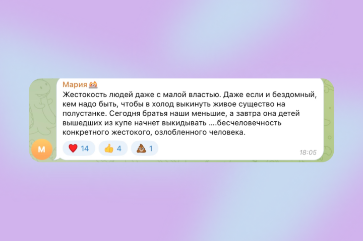 комментарий в поддержку кота Твикса