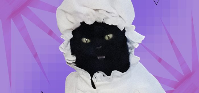 кот салем