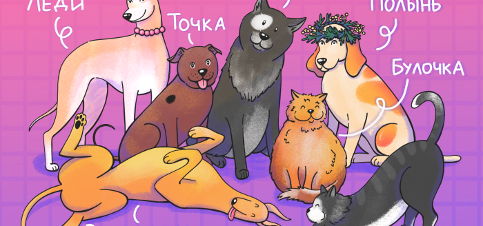 клички бездомным животным