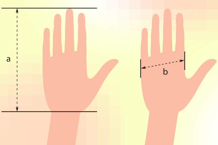 Kak izmerit' obhvat ladoni dlya perchatok: poshagovaya instrukciya