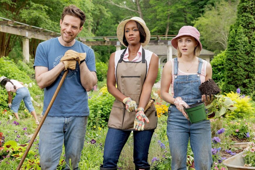 новые сериалы похожие на отчаянных домохозяек