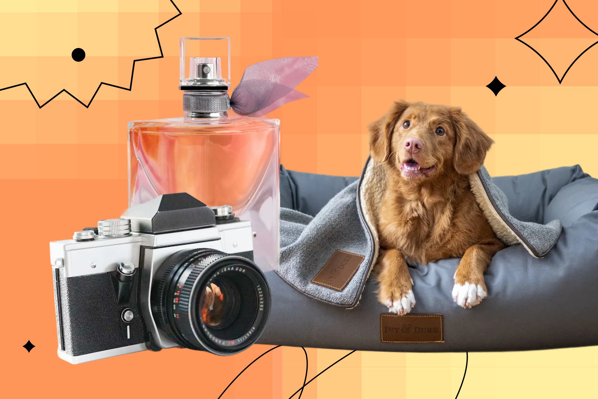 5 хобби, которые превратились в источник дохода