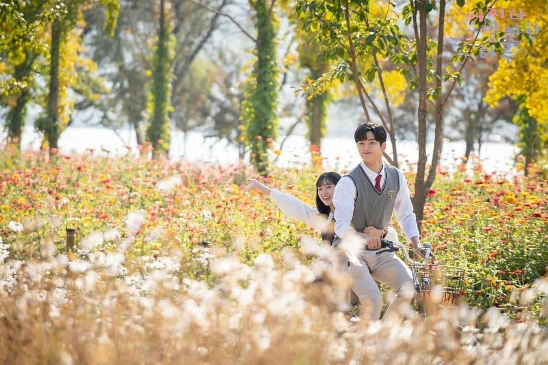 дорамы про школу и любовь