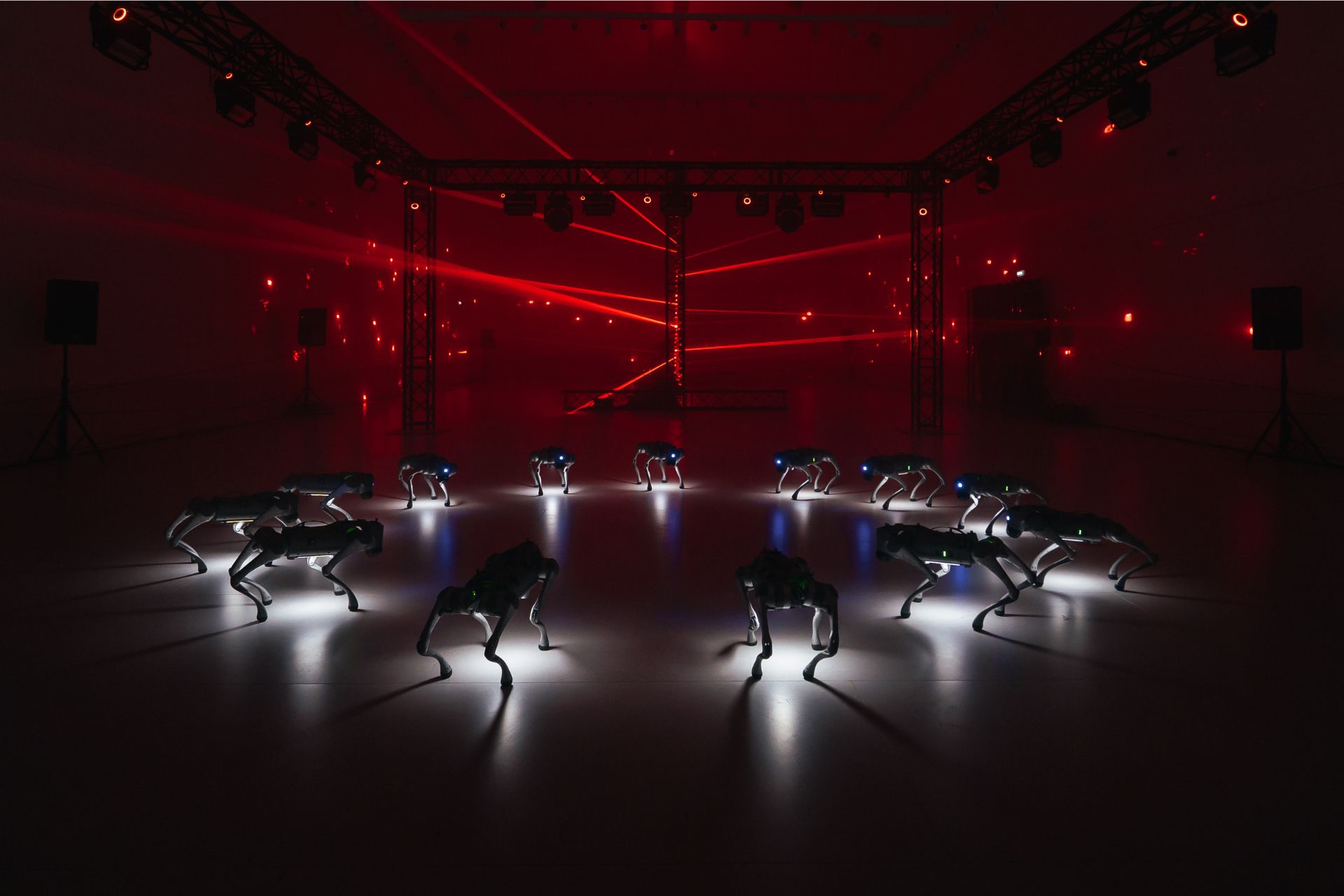 Как не растеряться на выставке мультимедийного искусства